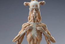 Photo of Masao Kinoshita’s Exaggerated Muscle Sculpture Series Is Truly Awesome