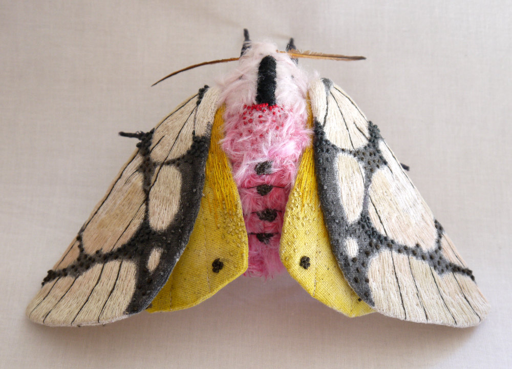 insect-4