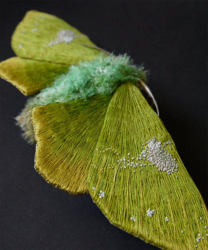 insect-9