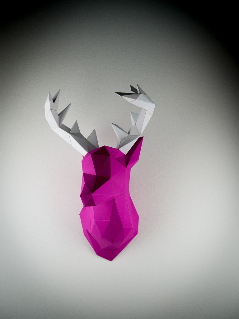 Papertrophy P1110371