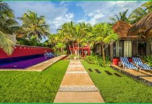 Photo of Everything You Need To Know Before Visiting Mexico